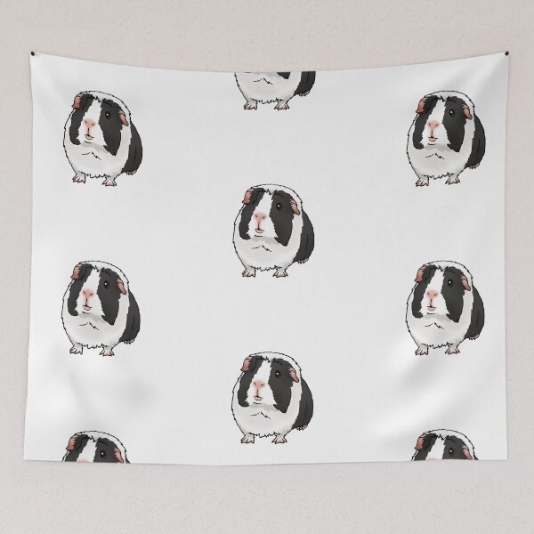 Item preview, Black Dutch Crested Guinea Pig designed and sold by KatsGuineapigs.
