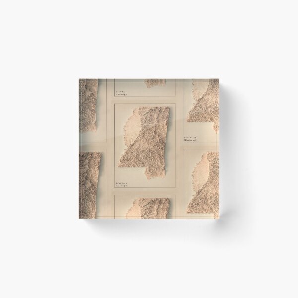 Item preview, Mississippi, USA Shaded Relief Map 3D digitally-rendered designed and sold by ThinkAboutMaps.