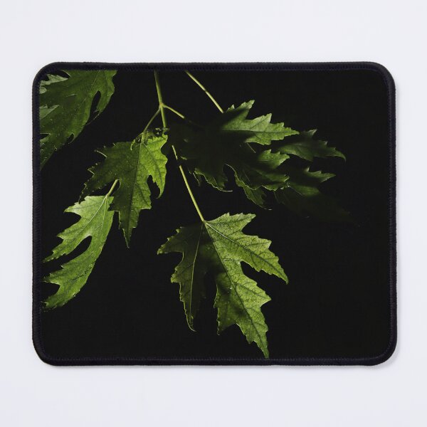 Item preview, Despues de la lluvia designed and sold by timdaytimages.