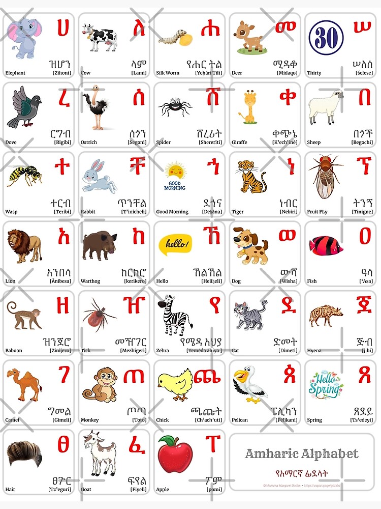 "AMHARIC Alphabet CHART with Words and English Translations Printable