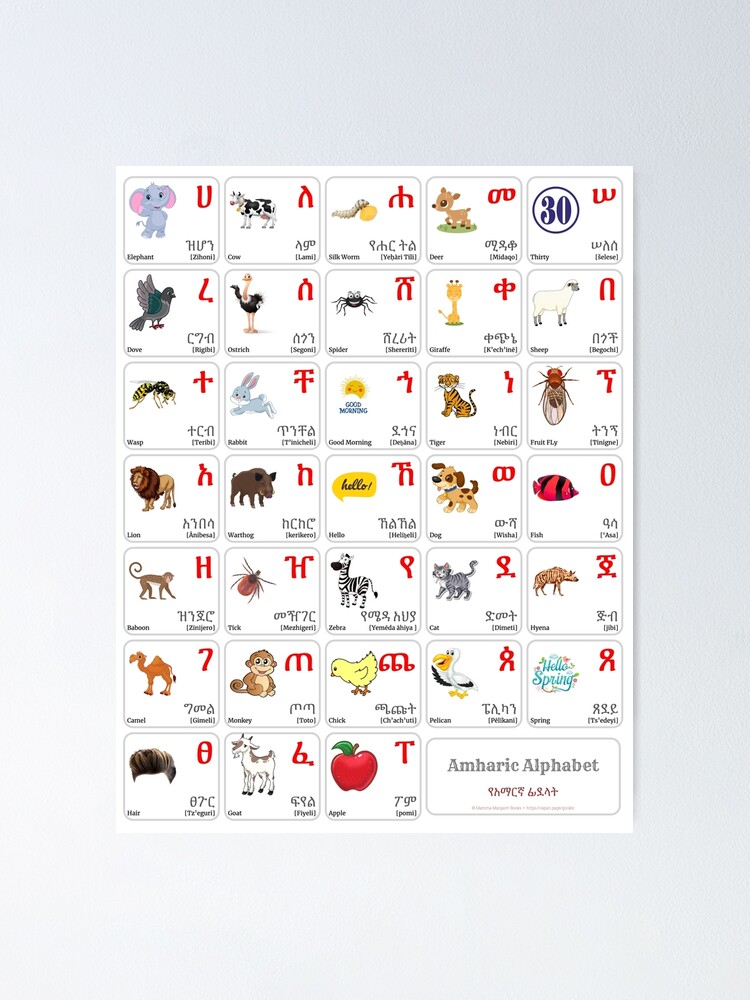 "AMHARIC Alphabet CHART with Words and English Translations Printable