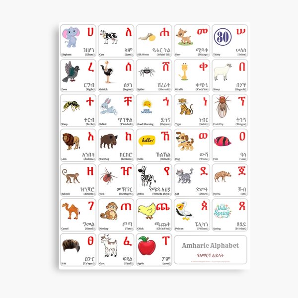 "AMHARIC Alphabet CHART with Words and English Translations Printable