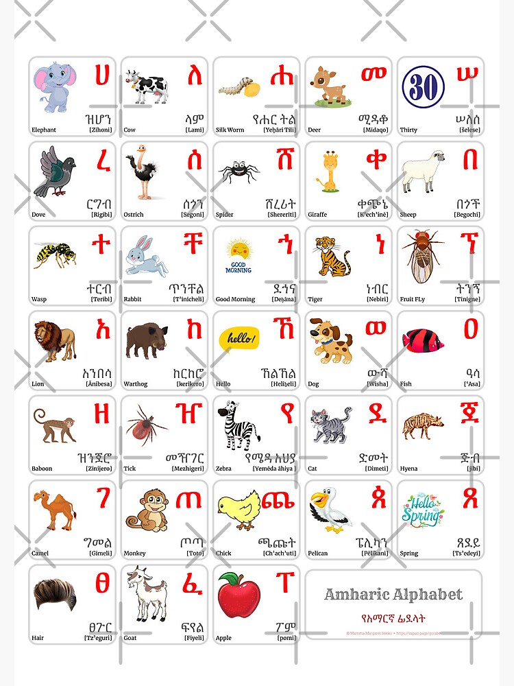 "AMHARIC Alphabet CHART with Words and English Translations Printable