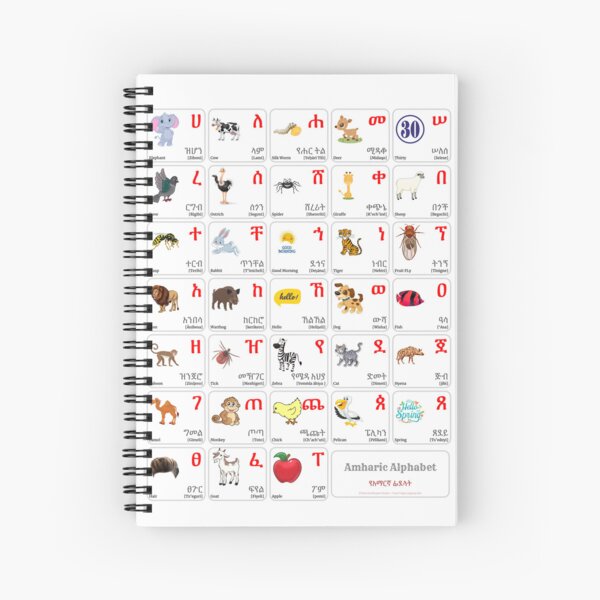 "AMHARIC Alphabet CHART with Words and English Translations Printable