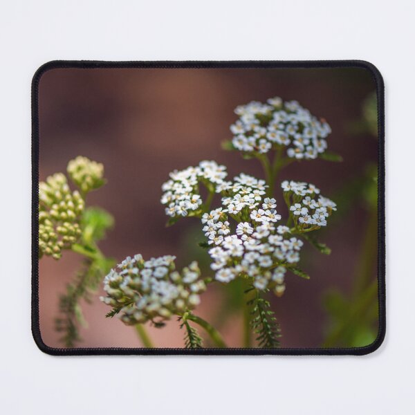 Item preview, In The World designed and sold by JohnDSmith.