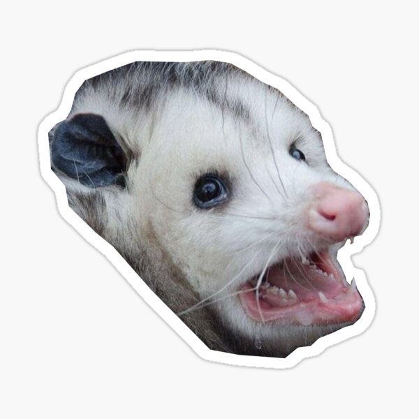 Item preview, anxious opossum designed and sold by xdekoxx.