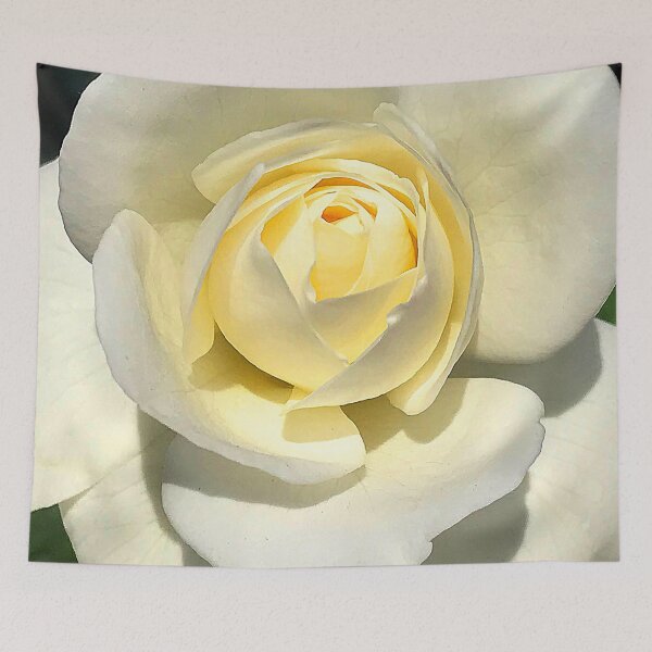 Item preview, Ivory-White-Colored Rose Flower Elegant Close-Up designed and sold by DEC02.