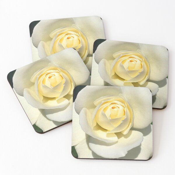 Item preview, Ivory-White-Colored Rose Flower Elegant Close-Up designed and sold by DEC02.