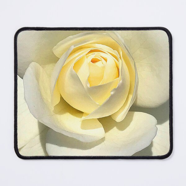 Item preview, Ivory-White-Colored Rose Flower Elegant Close-Up designed and sold by DEC02.