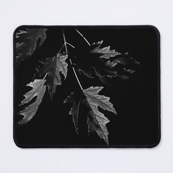 Item preview, After the Rain (Black and White) designed and sold by timdaytimages.