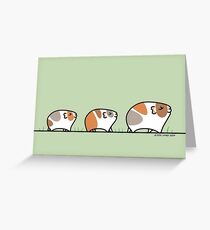 Mother Guinea-pig with Babies Greeting Card