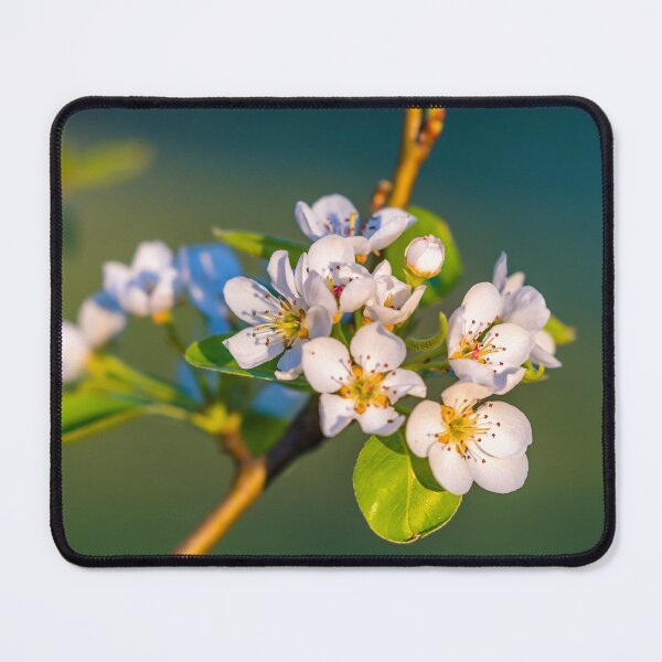 Item preview, Pear Blossom designed and sold by JohnDSmith.