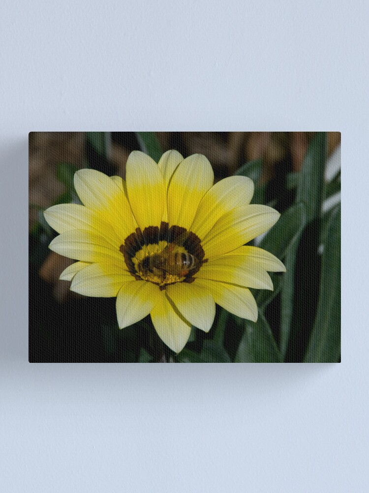 Alternate view of Bee Me Canvas Print