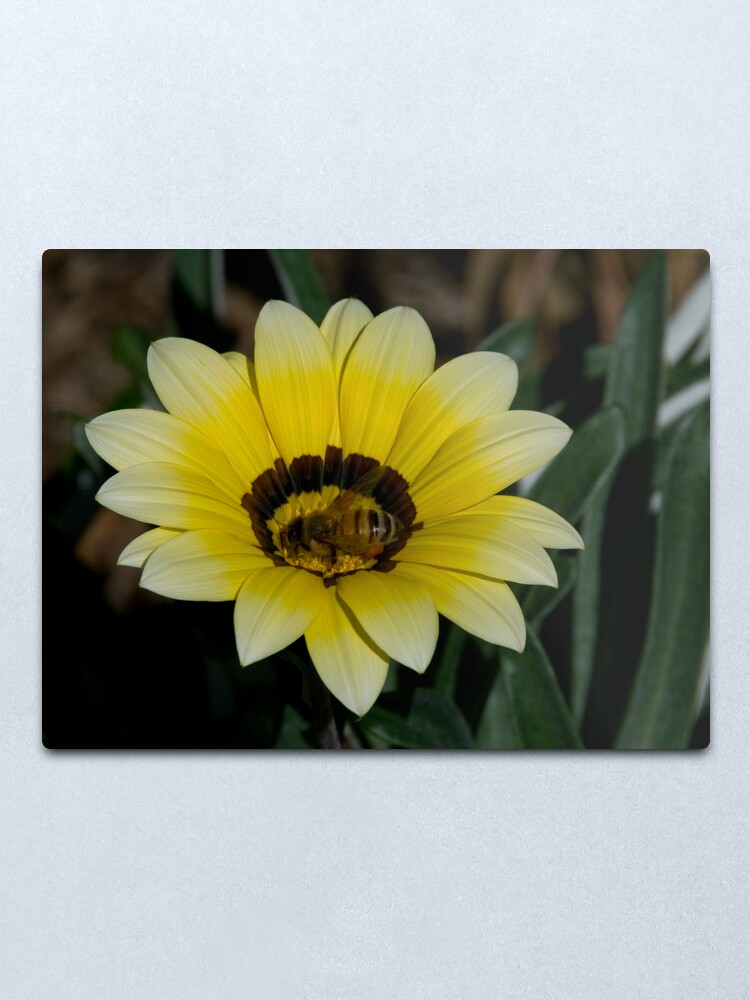 Alternate view of Bee Me Metal Print