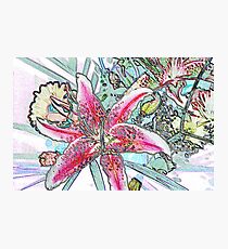 STAR GAZER Photographic Print