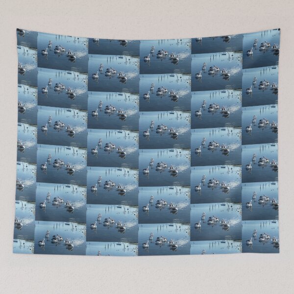 Item preview, *Pelicans at Werribee South Beach - Vic. Aust.* designed and sold by EdsMum.