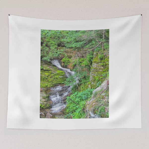 Item preview, Lower Catawba   designed and sold by Paul Lubaczewski.