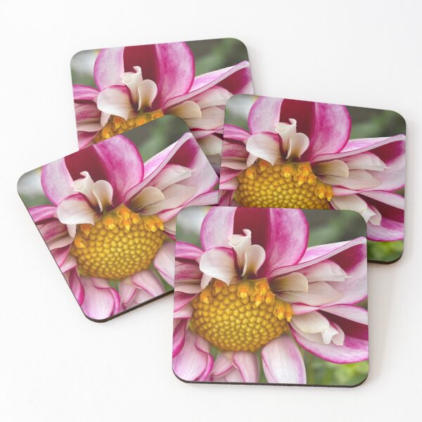 Item preview, Pink Perfect Dahlia designed and sold by Sarah Curtiss.