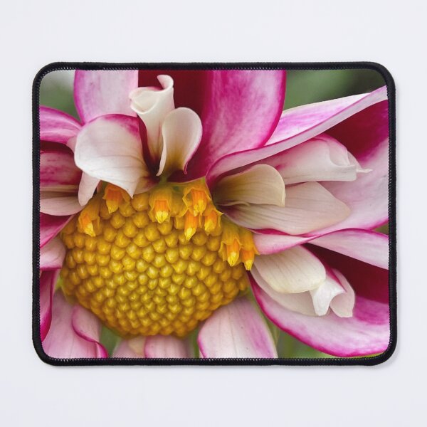 Item preview, Pink Perfect Dahlia designed and sold by Sarah Curtiss.
