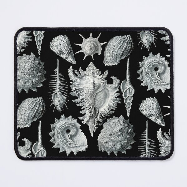 Item preview, Prosobranchia from Artforms of Nature (1904) by Ernst Haeckel designed and sold by Shapes-Mania.