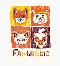 Fantastic Mr. Fox Photographic Print