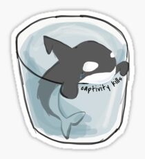 Orca Whale Killer Whale Sticker