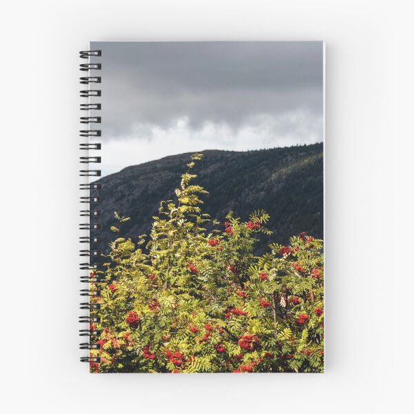 Item preview, Trees of mountain ash with ripe berries against the background of mountains and cloudy sky designed and sold by EG Creativity Art.