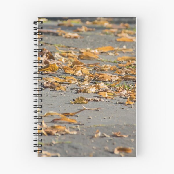 Item preview, Dry yellow foliage on the road blurred background designed and sold by EG Creativity Art.