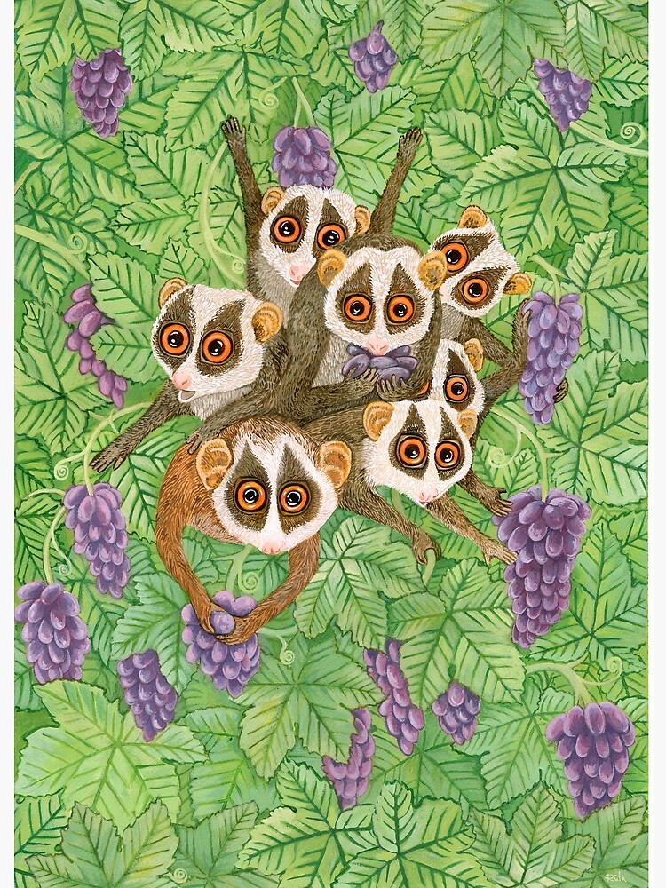 Monkey Loris Family iphone 11 case Monkey Loris Family iphone 11 case