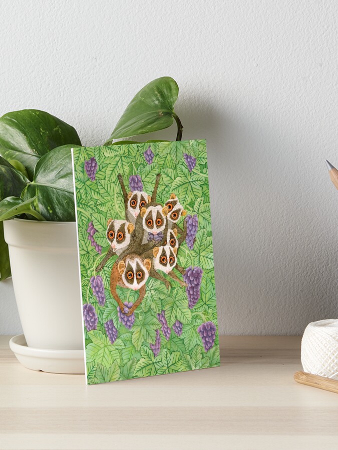 Monkey Loris Family iphone 11 case Monkey Loris Family iphone 11 case