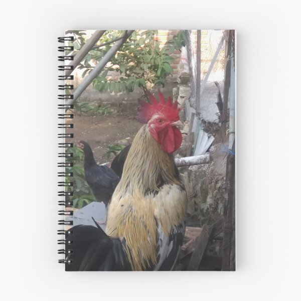 Aperçu de l'œuvre poulet plume d'or créée et vendue par Denarul86.