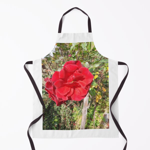 Item preview, red rose designed and sold by barbich.