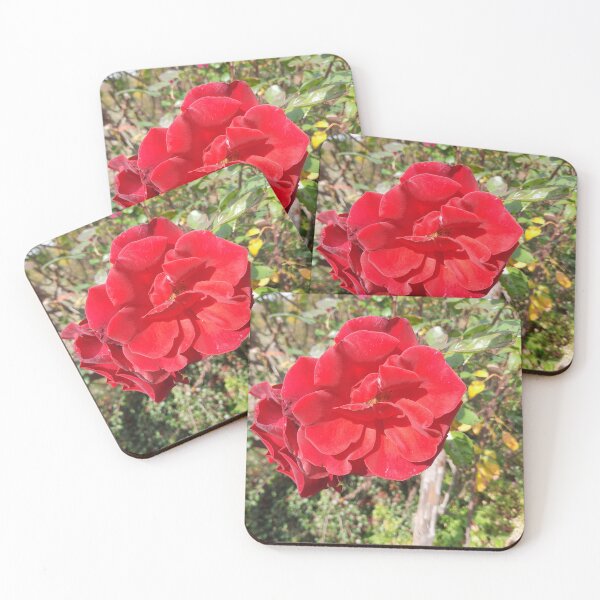 Item preview, red rose designed and sold by barbich.