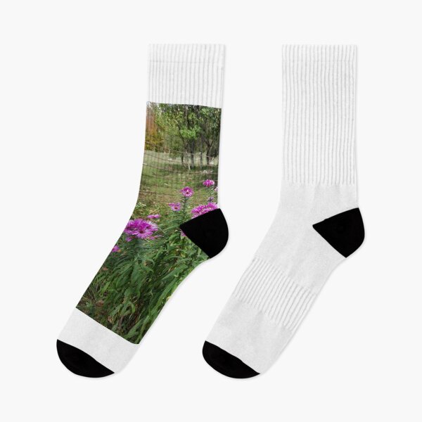 Artikelvorschau, violette Herbstblumen... entworfen und verkauft von barbich.