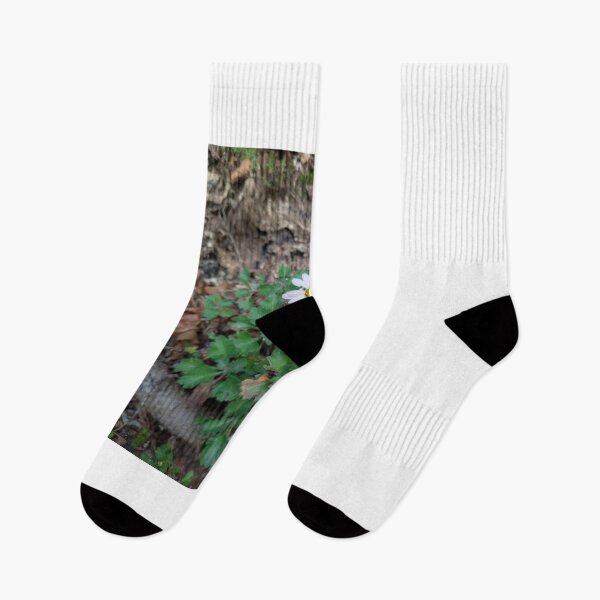 Item preview, wild flower.... designed and sold by barbich.