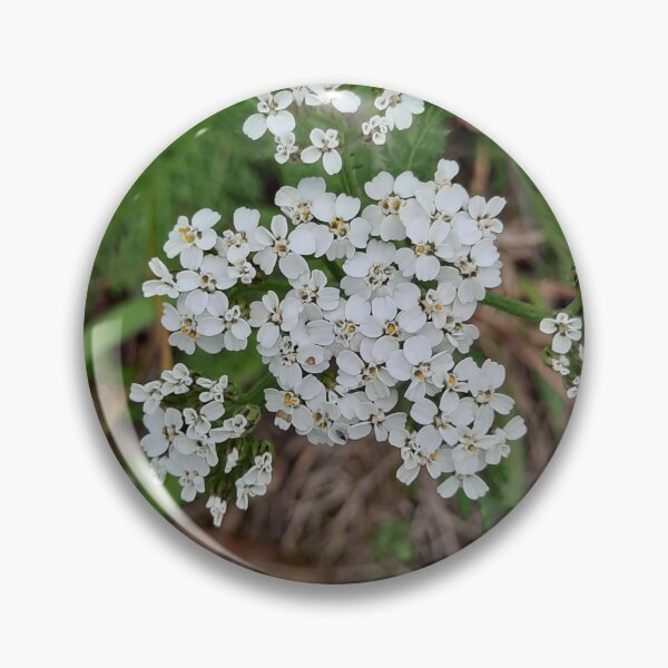 Artikelvorschau, wilde Blumen entworfen und verkauft von barbich.