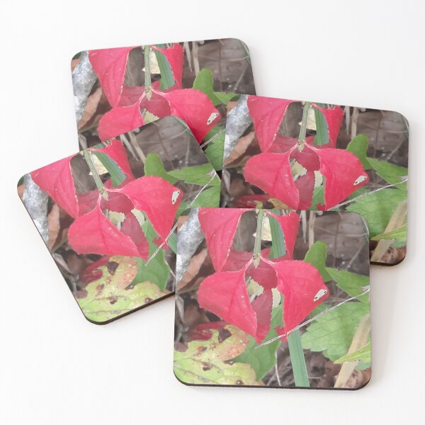 Item preview, autumn leaf designed and sold by barbich.