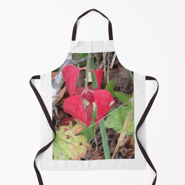 Item preview, autumn leaf designed and sold by barbich.