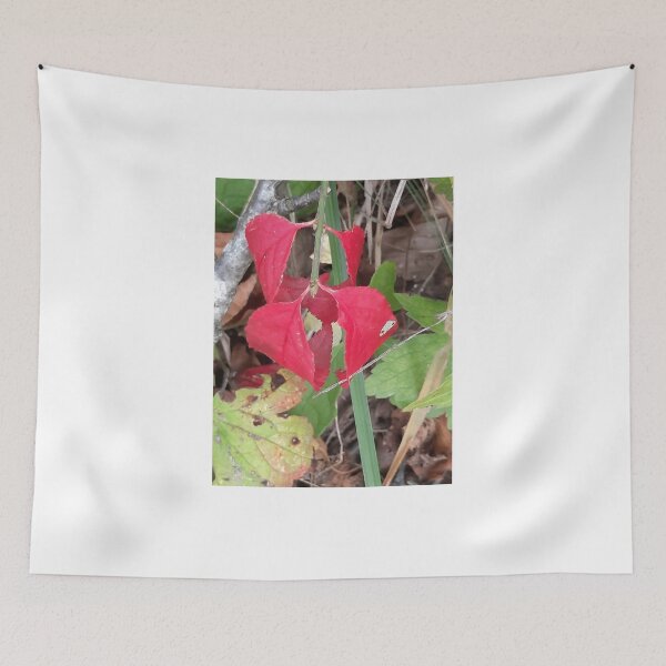 Item preview, autumn leaf designed and sold by barbich.
