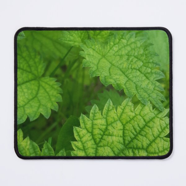 Item preview, Nettle close-up beautiful photography designed and sold by Skaja.