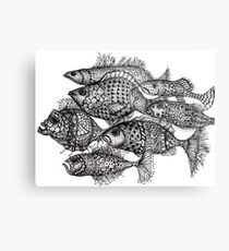Poisson Metal Print
