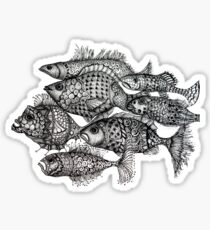 Poisson Sticker