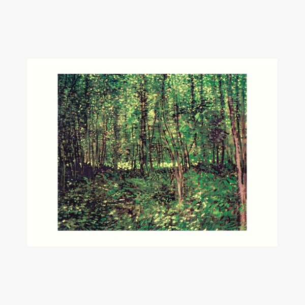 Trees and Undergrowth Art Print