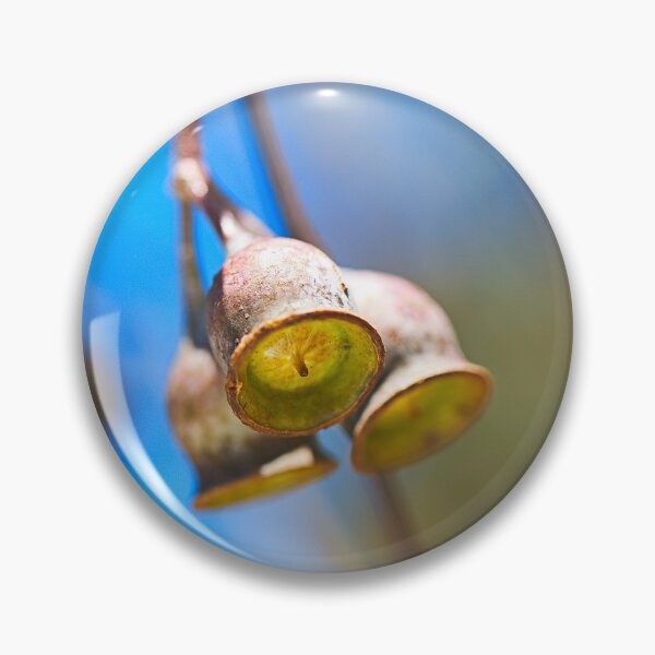 Item preview, Eucalyptus Gumnuts Sunshine designed and sold by Joy Watson - Natural Light Photography .