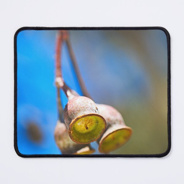 Item preview, Eucalyptus Gumnuts Sunshine designed and sold by Joy Watson - Natural Light Photography .