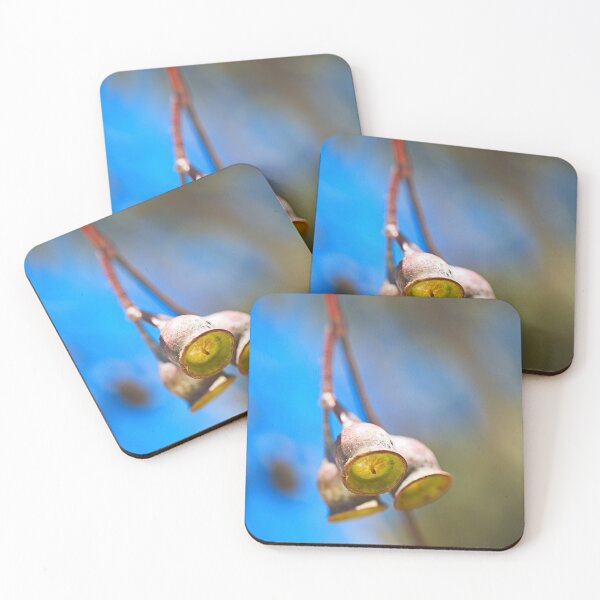 Item preview, Eucalyptus Gumnuts Sunshine designed and sold by Joy Watson - Natural Light Photography .