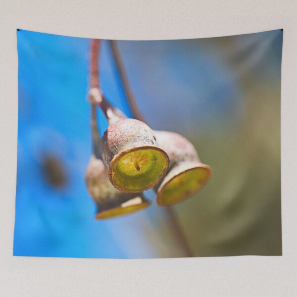 Item preview, Eucalyptus Gumnuts Sunshine designed and sold by Joy Watson - Natural Light Photography .