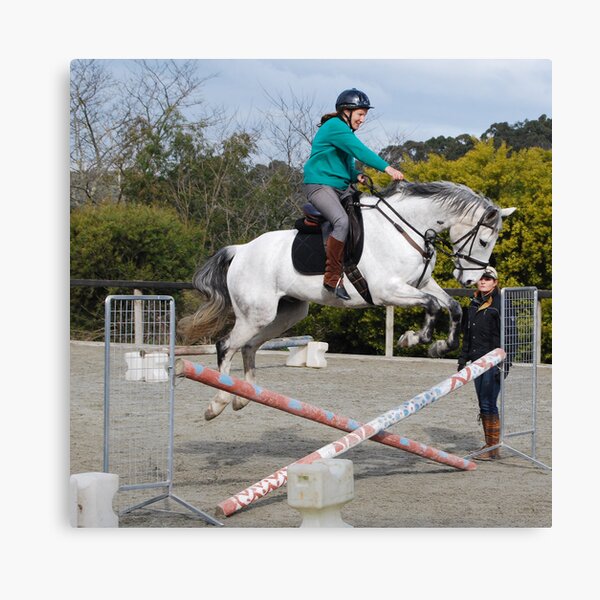 Aperçu de l'œuvre learn to jump 2 créée et vendue par Tamara Bush.