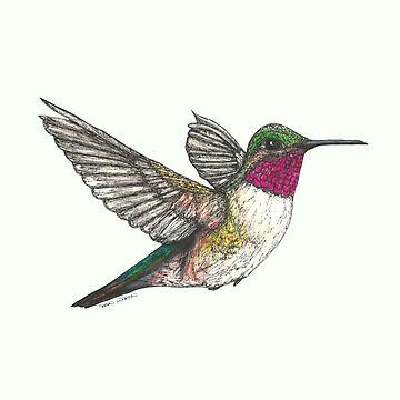 Artwork thumbnail, Ruby Throated Hummingbird by SerenSketches