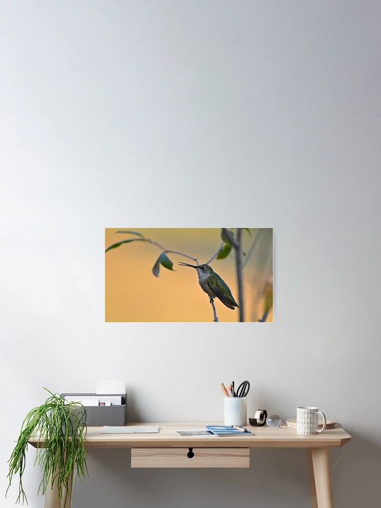Thumbnail 2 of 3, Poster, Ruby-throated Hummingbird designed and sold by InGFocus.